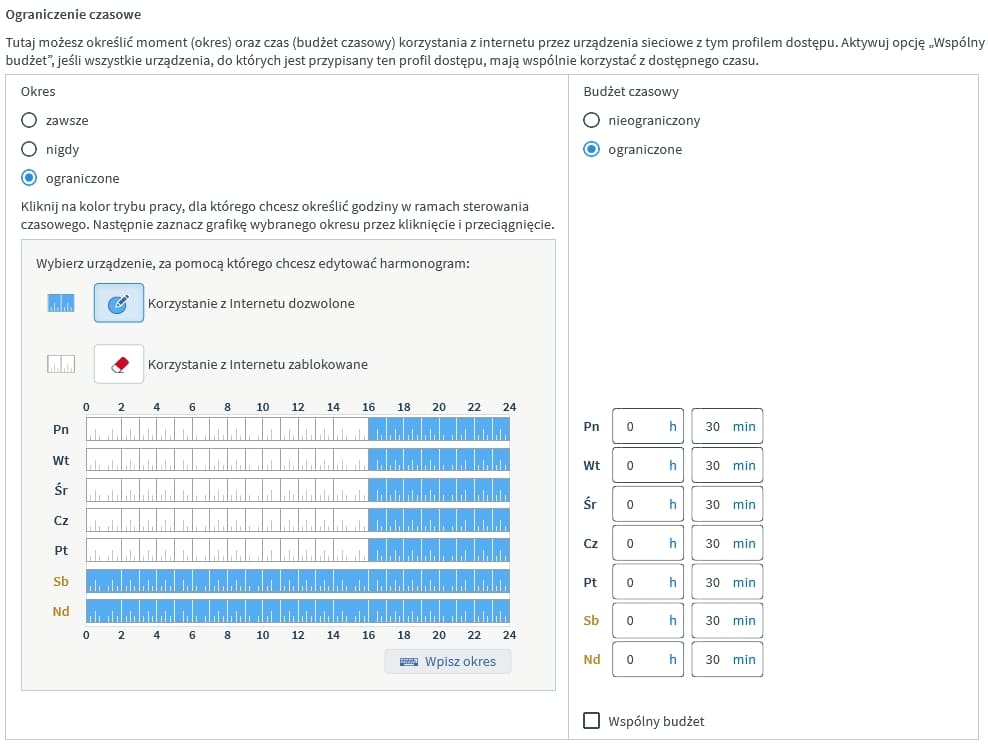 ograniczenie czasowe
